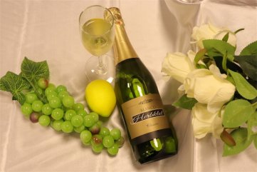 代理什么樣的法國(guó)進(jìn)口紅酒品牌好