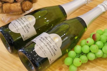 開(kāi)個(gè)紅酒加盟店需投入多少錢