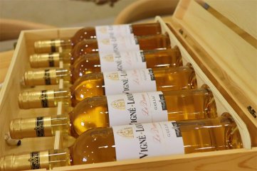 紅酒加盟需要多少錢